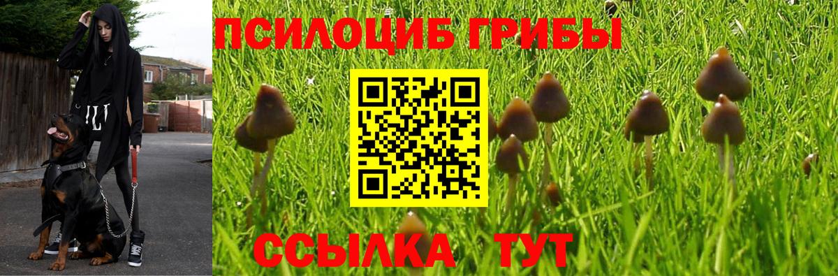 Галлюциногенные грибы GOLDEN TEACHER Среднеуральск