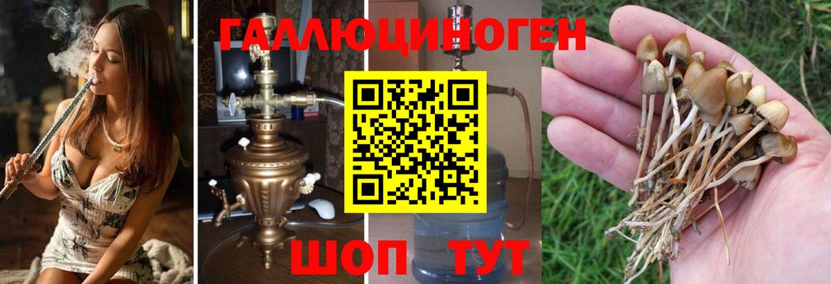Галлюциногенные грибы Magic Shrooms  Псилоцибиновые грибы MAGIC MUSHROOMS  Среднеуральск  Вход с VPN 